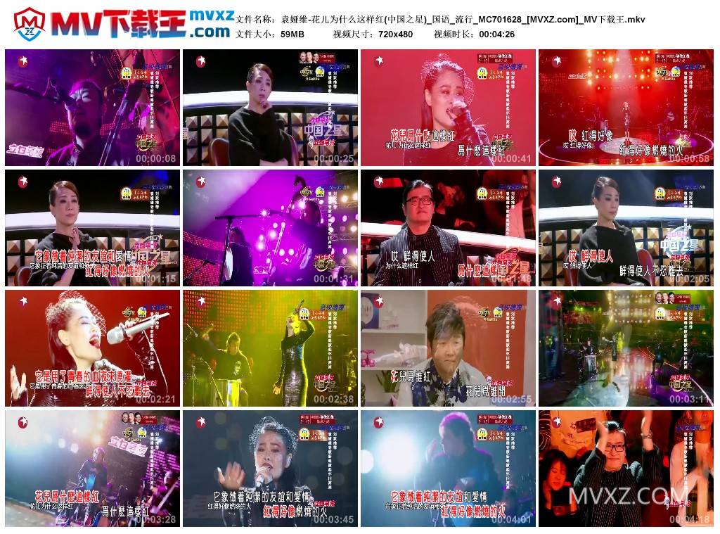 袁娅维-花儿为什么这样红(中国之星)_国语_流行_MC701628